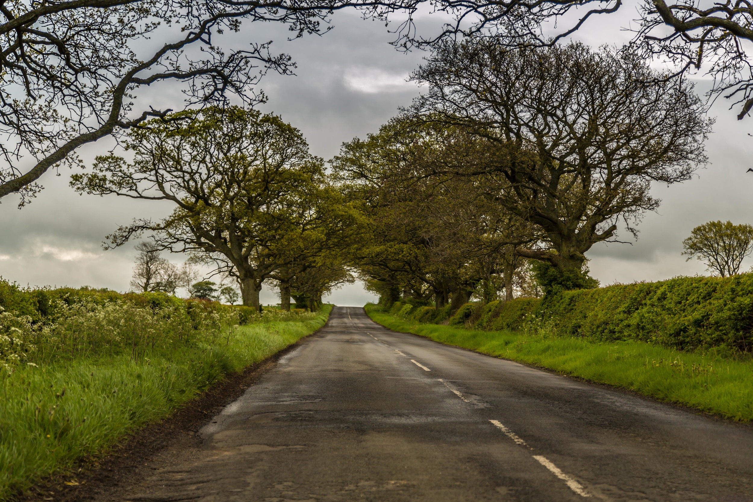 Scenic drive, Scotland