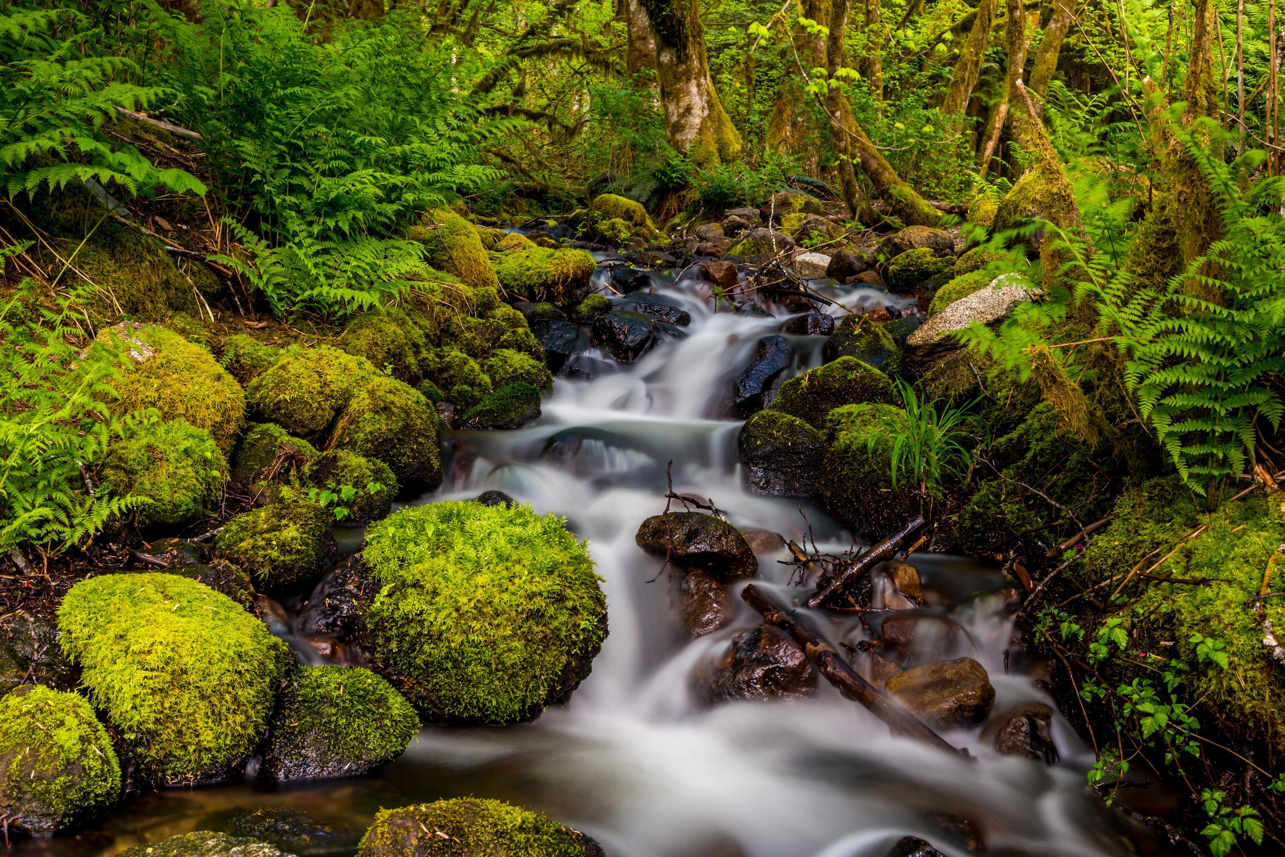 Waterfall