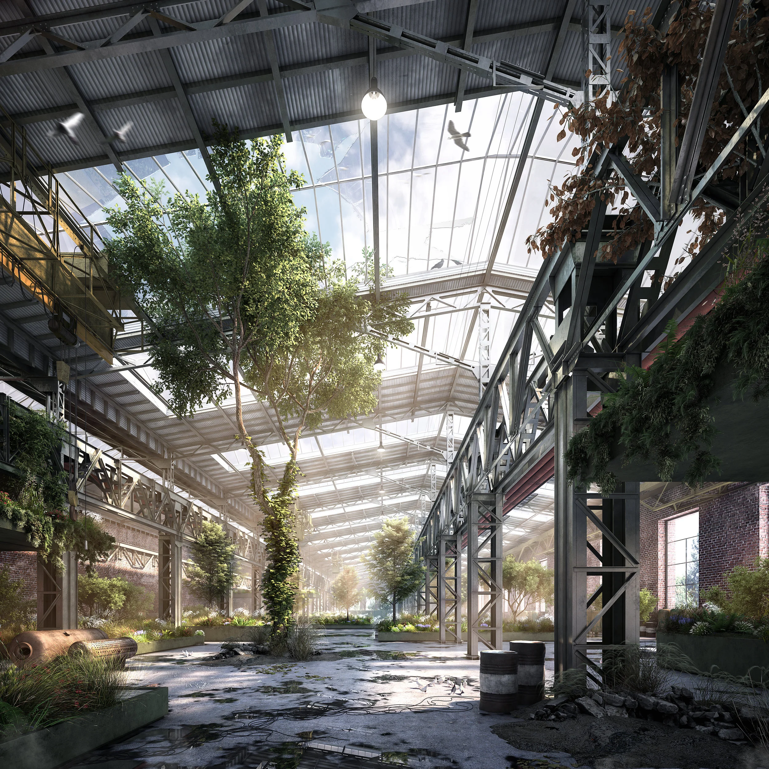 MS0004_Shot 1_small.jpg