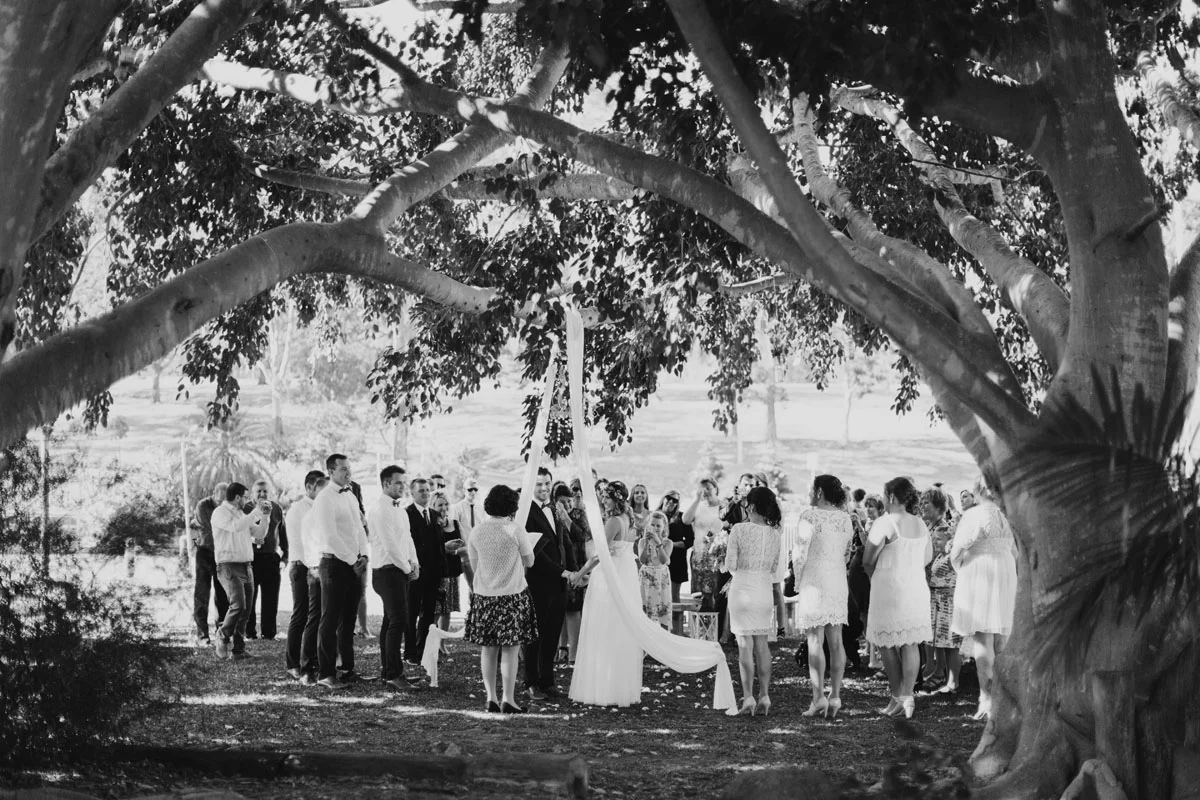 059 Finch and Oak gold coast wedding photographer.jpg