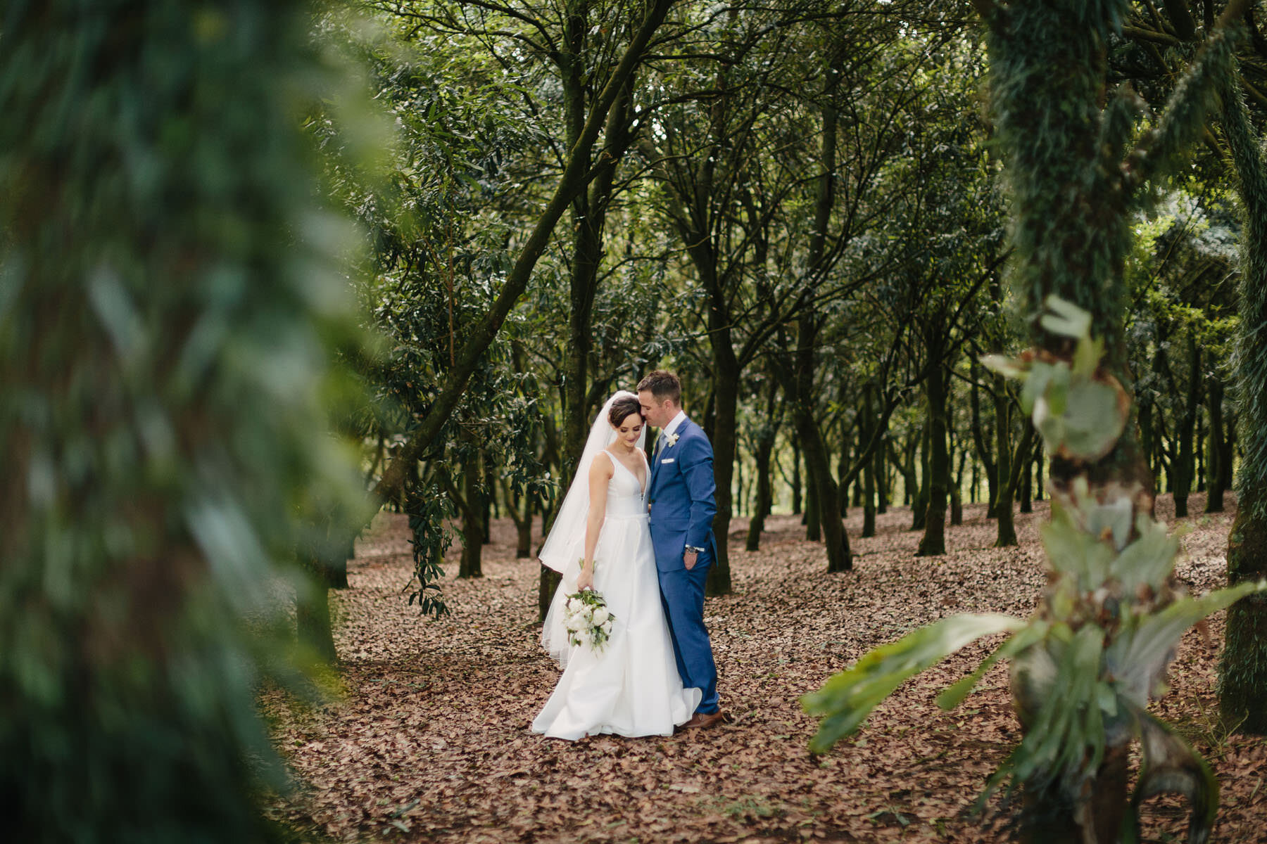 Orchard-Estate-Byron-Bay-Hinterland-wedding-photography-finch-and-oak-141.jpg