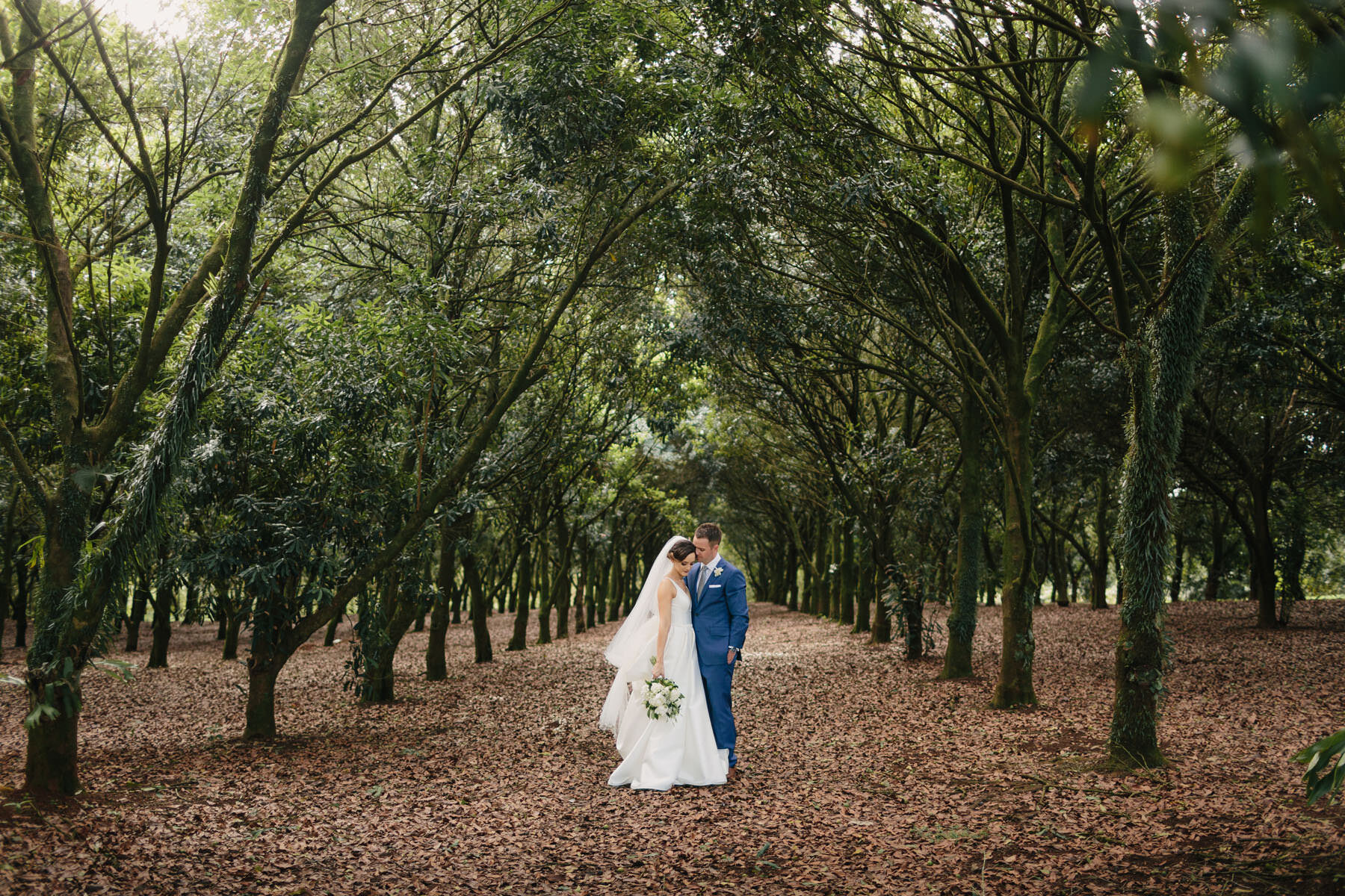 Orchard-Estate-Byron-Bay-Hinterland-wedding-photography-finch-and-oak-142.jpg