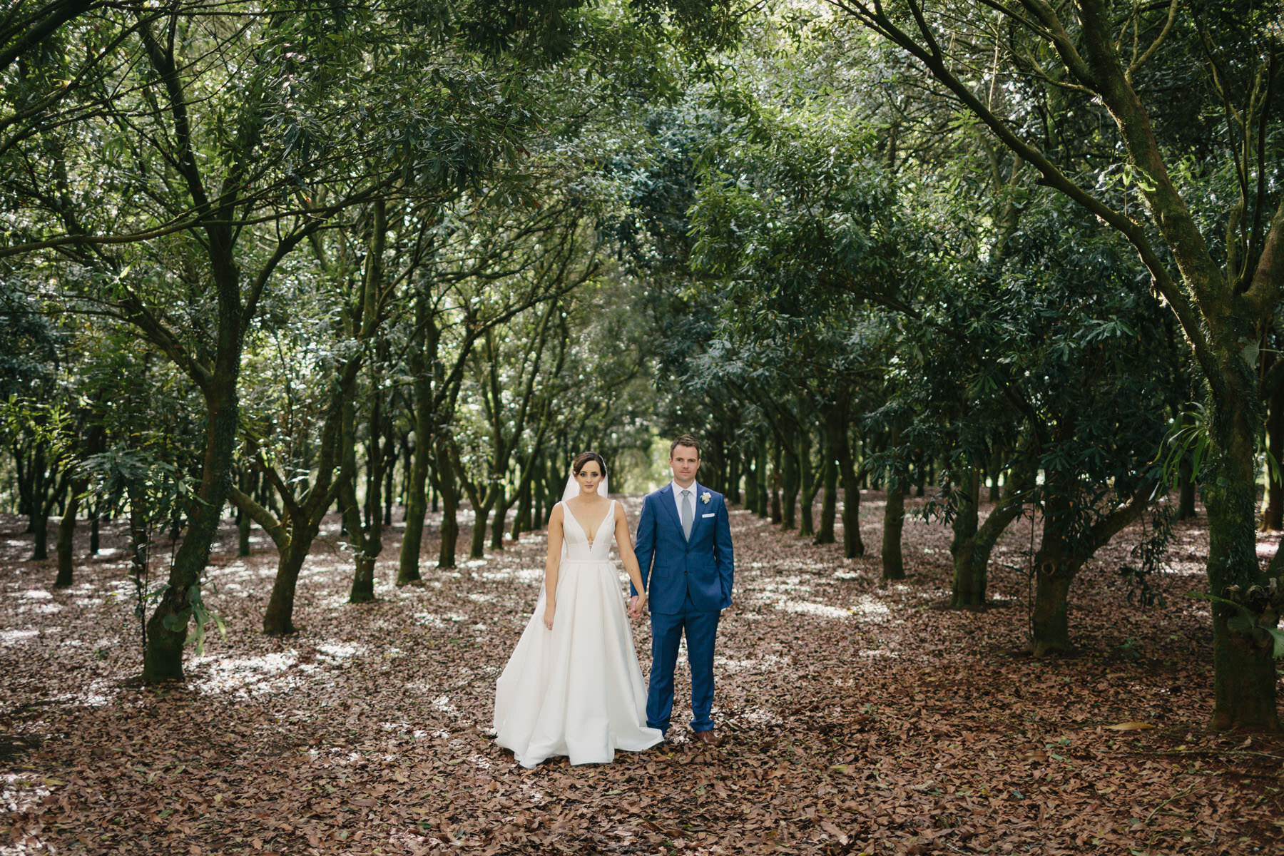 Orchard-Estate-Byron-Bay-Hinterland-wedding-photography-finch-and-oak-161.jpg