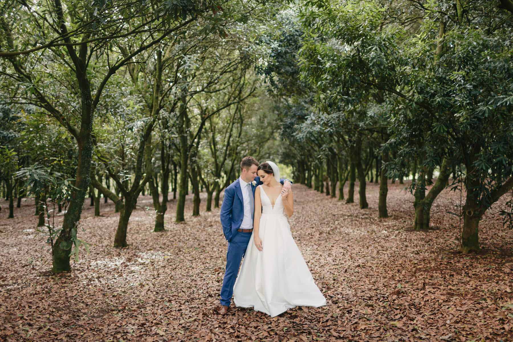 Orchard-Estate-Byron-Bay-Hinterland-wedding-photography-finch-and-oak-166.jpg