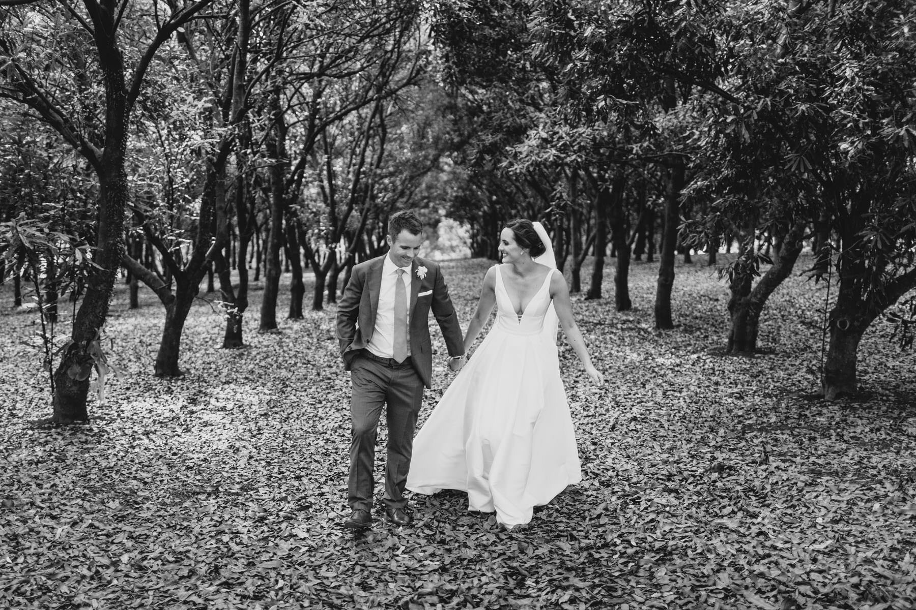 Orchard-Estate-Byron-Bay-Hinterland-wedding-photography-finch-and-oak-167.jpg
