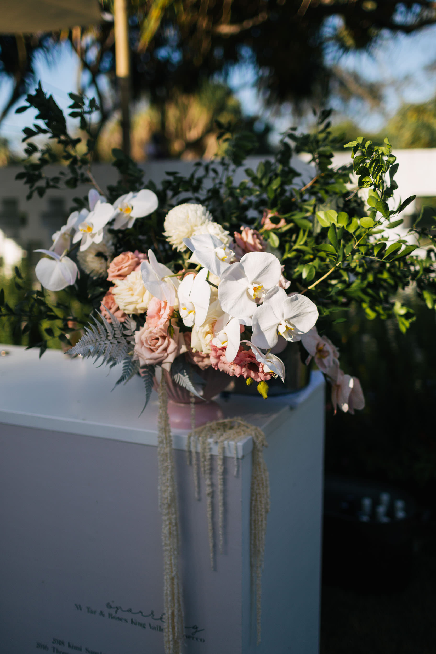 084-halcyon-house-wedding-kingscliff-photographer-finchandoak.jpg