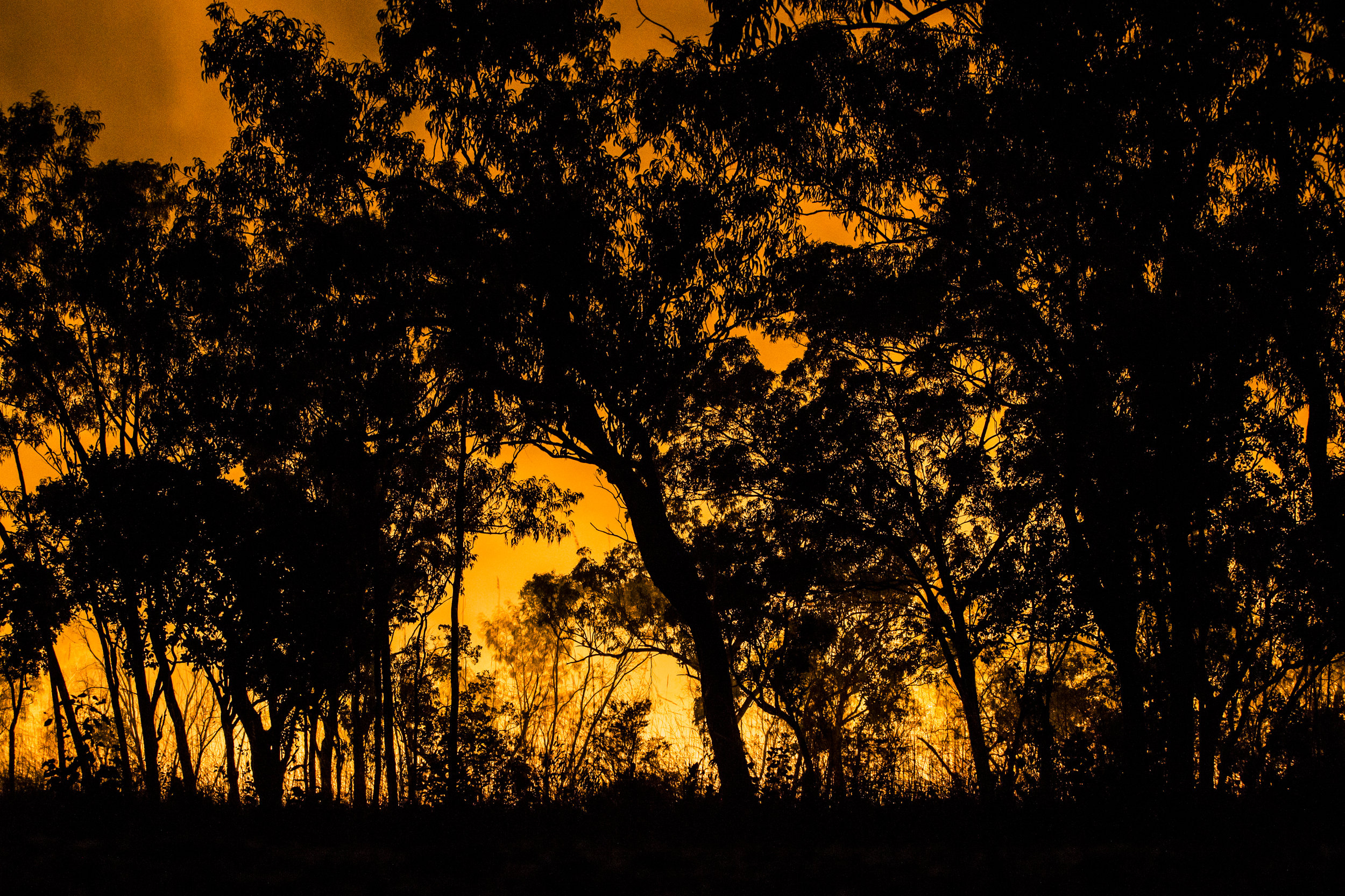  A forest fire in Kakadu NP, Australia. 