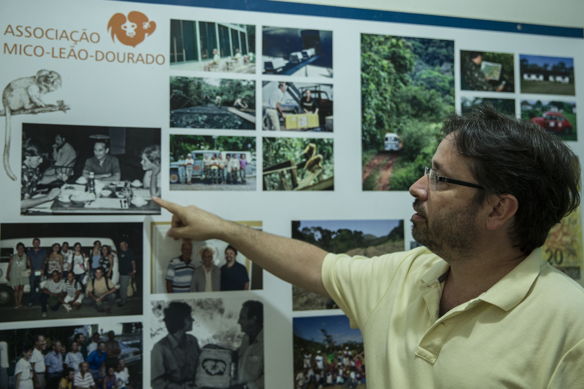  Dr Luis Paulo Ferraz, head of the Golden Lion Tamarin Association shows the timeline of the GLT's recovery.&nbsp; 