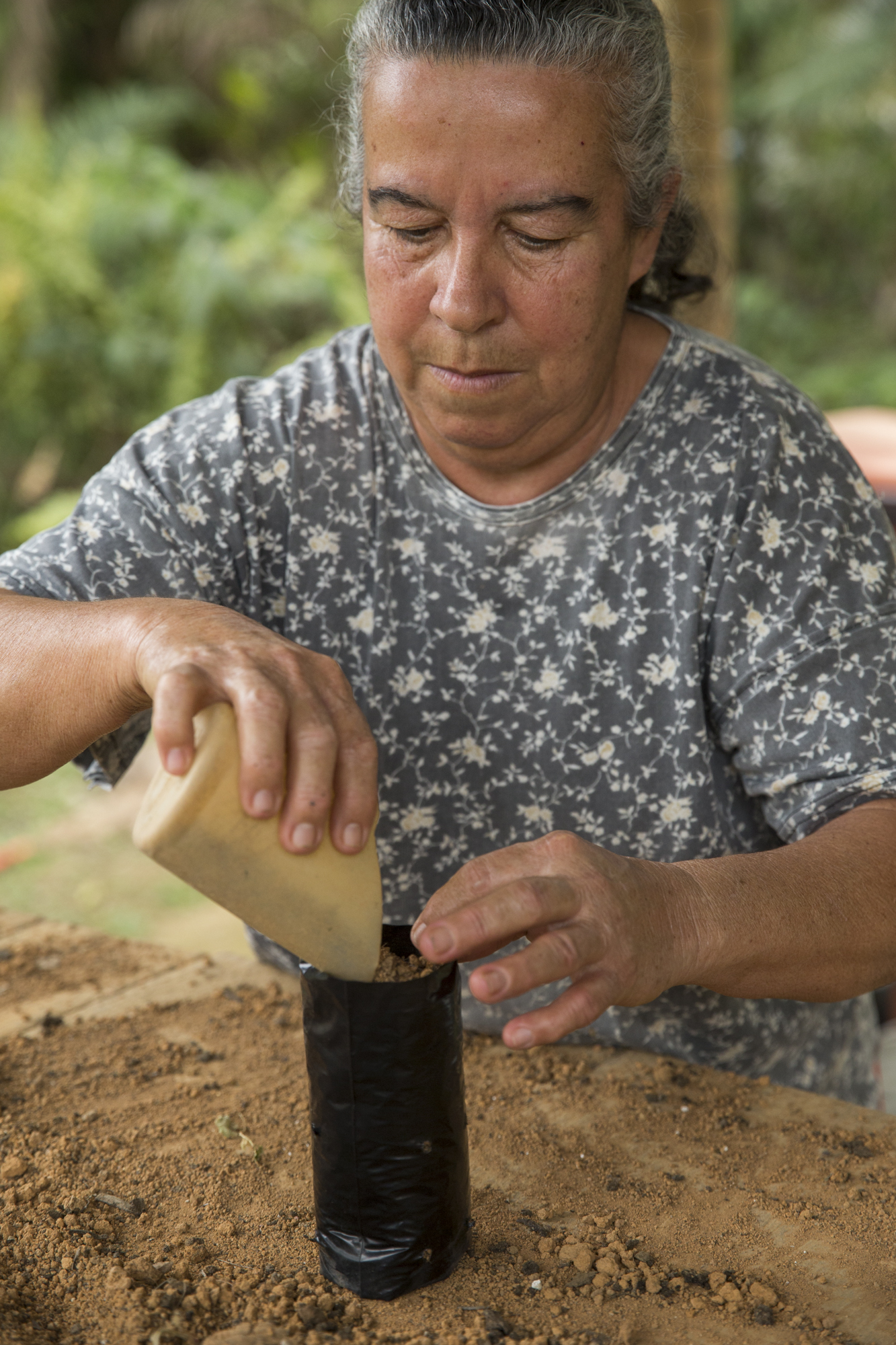  The nursery provides jobs for local people who plant new seeds and pot on saplings.&nbsp; 