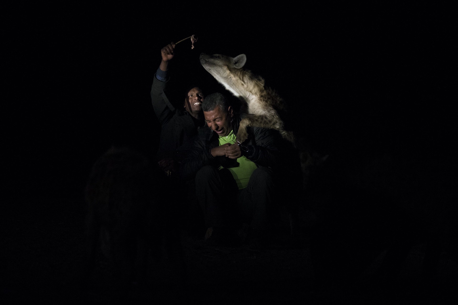  Abbas, Yusuf's son has taken over the feeding now and recognises tourists will pay to watch, providing a lucrative income.&nbsp; 