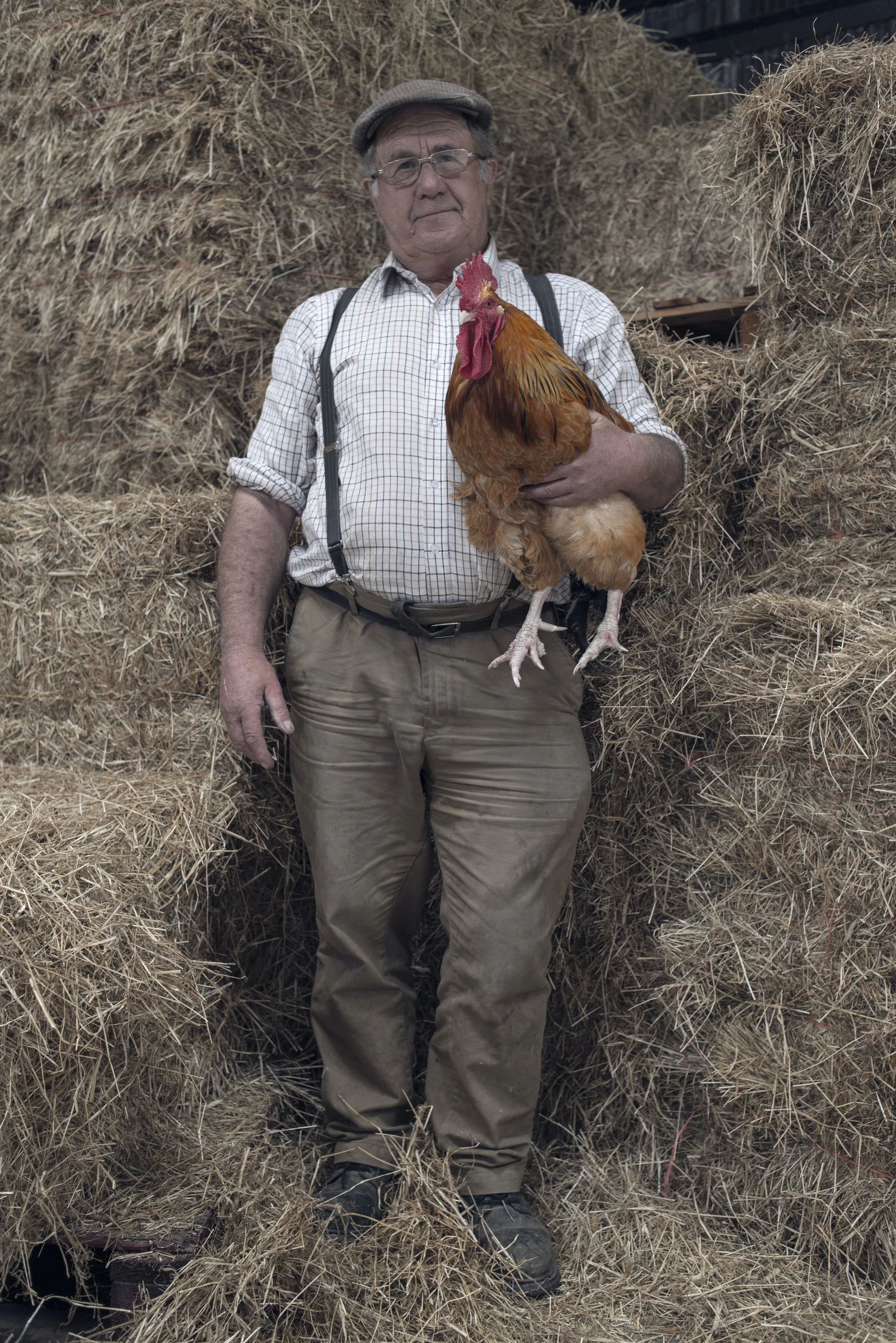 brighton_farner_portrait.jpg