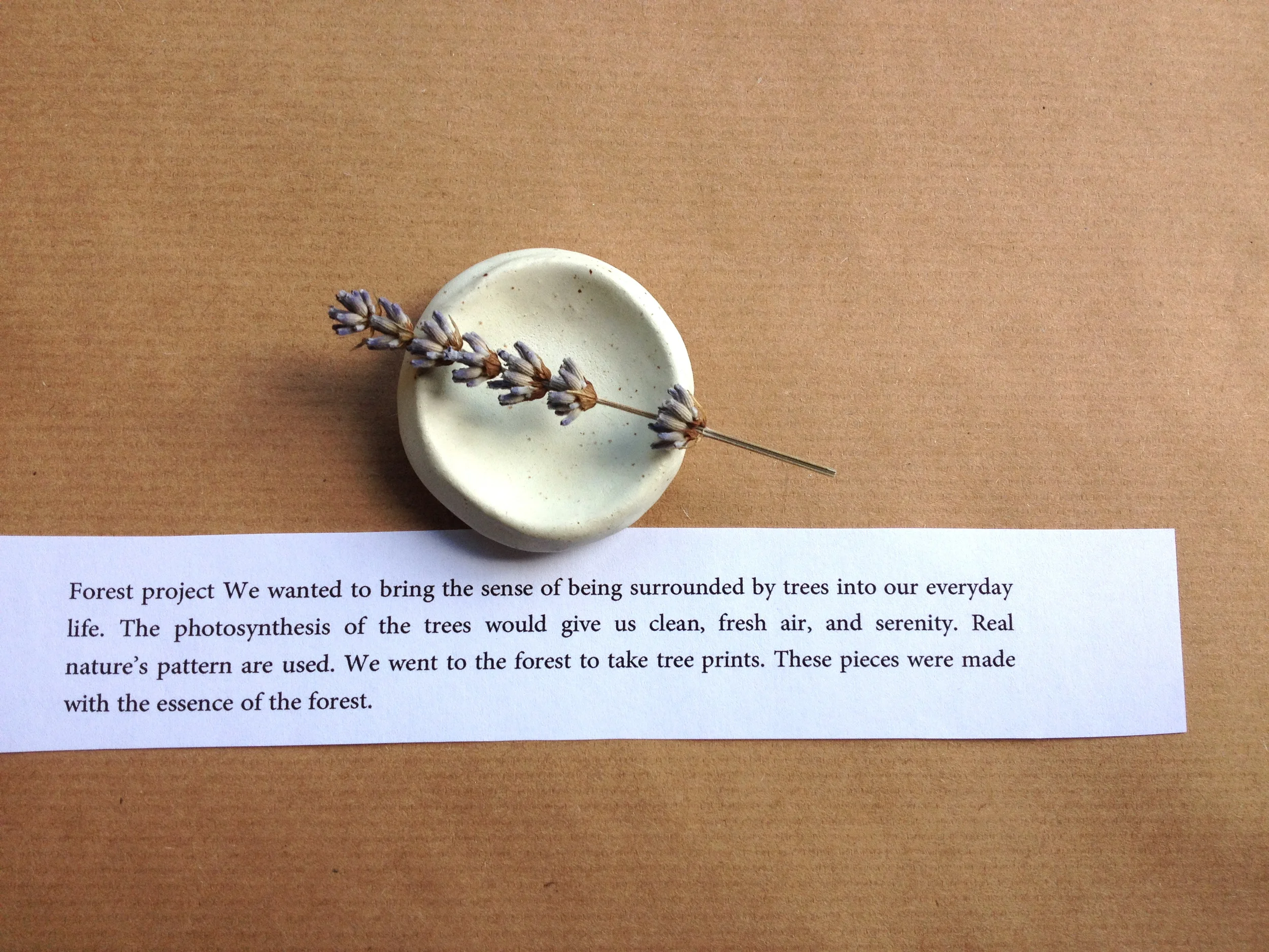 forest project.jpg