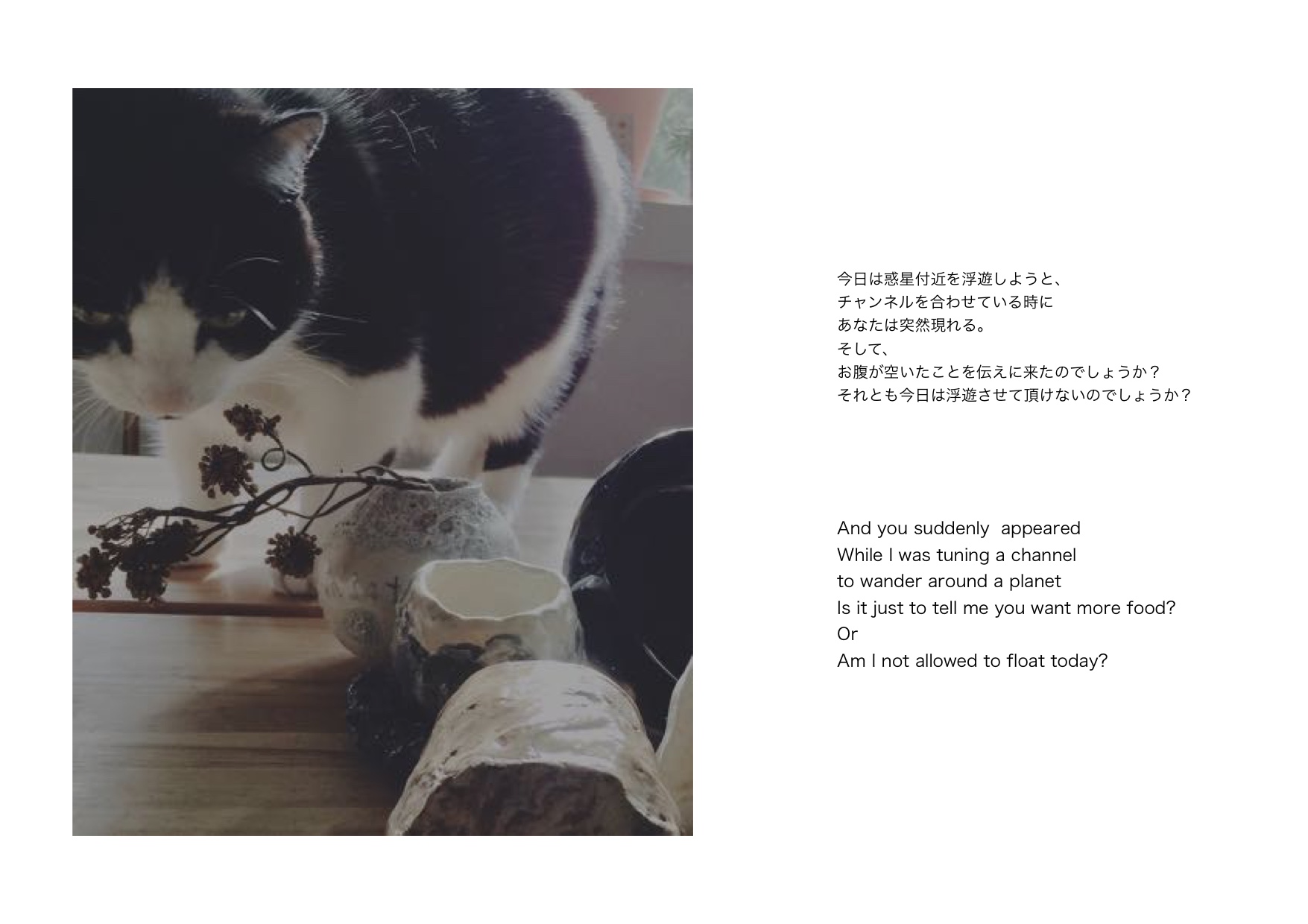 fullsizeoutput_5ca.jpeg