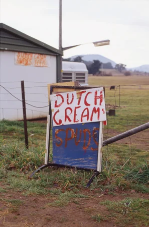 Dutch-Creams.jpg