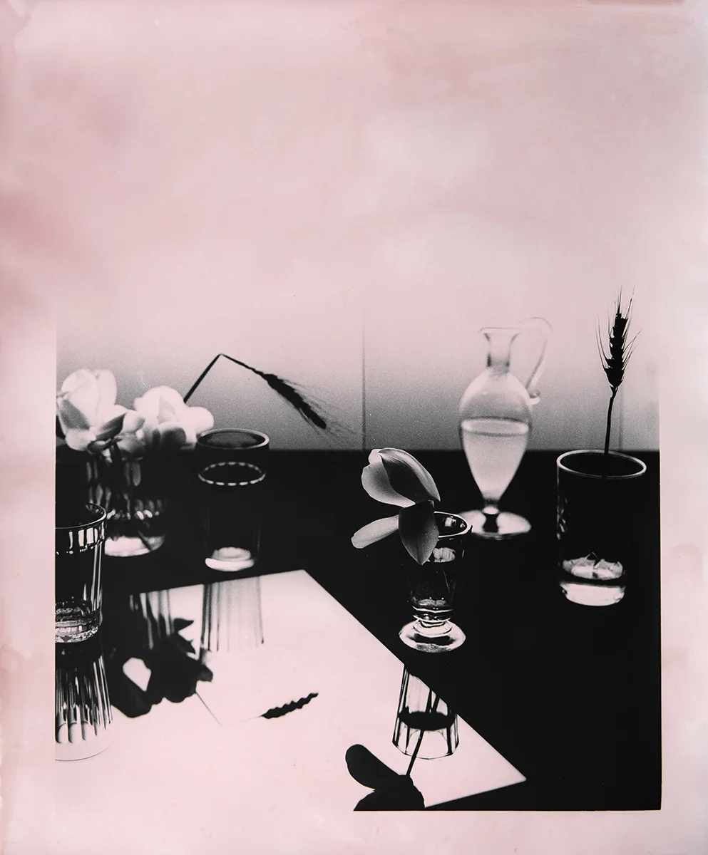Calamine_3.jpg