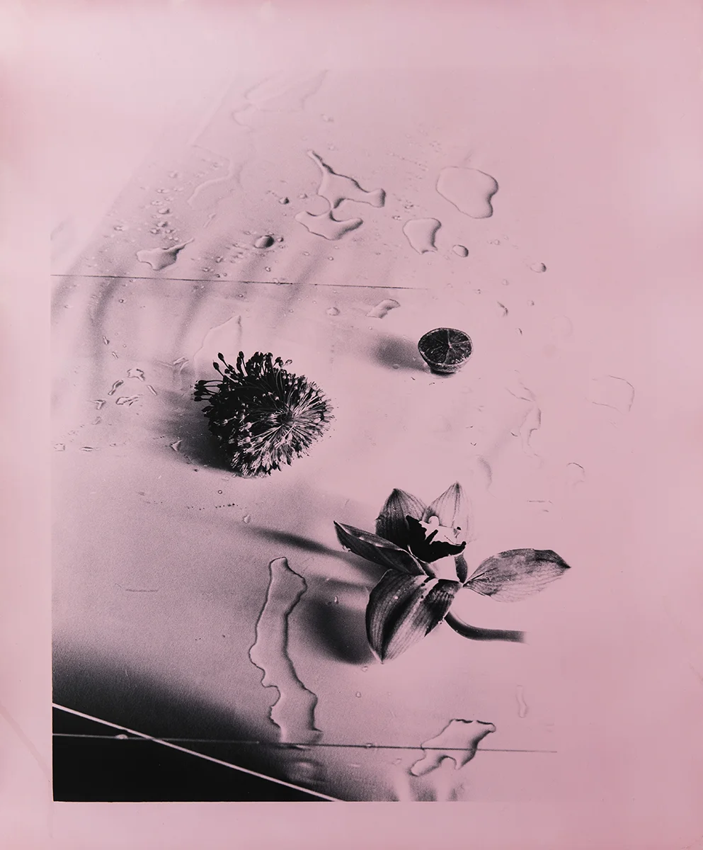 Calamine_8.jpg