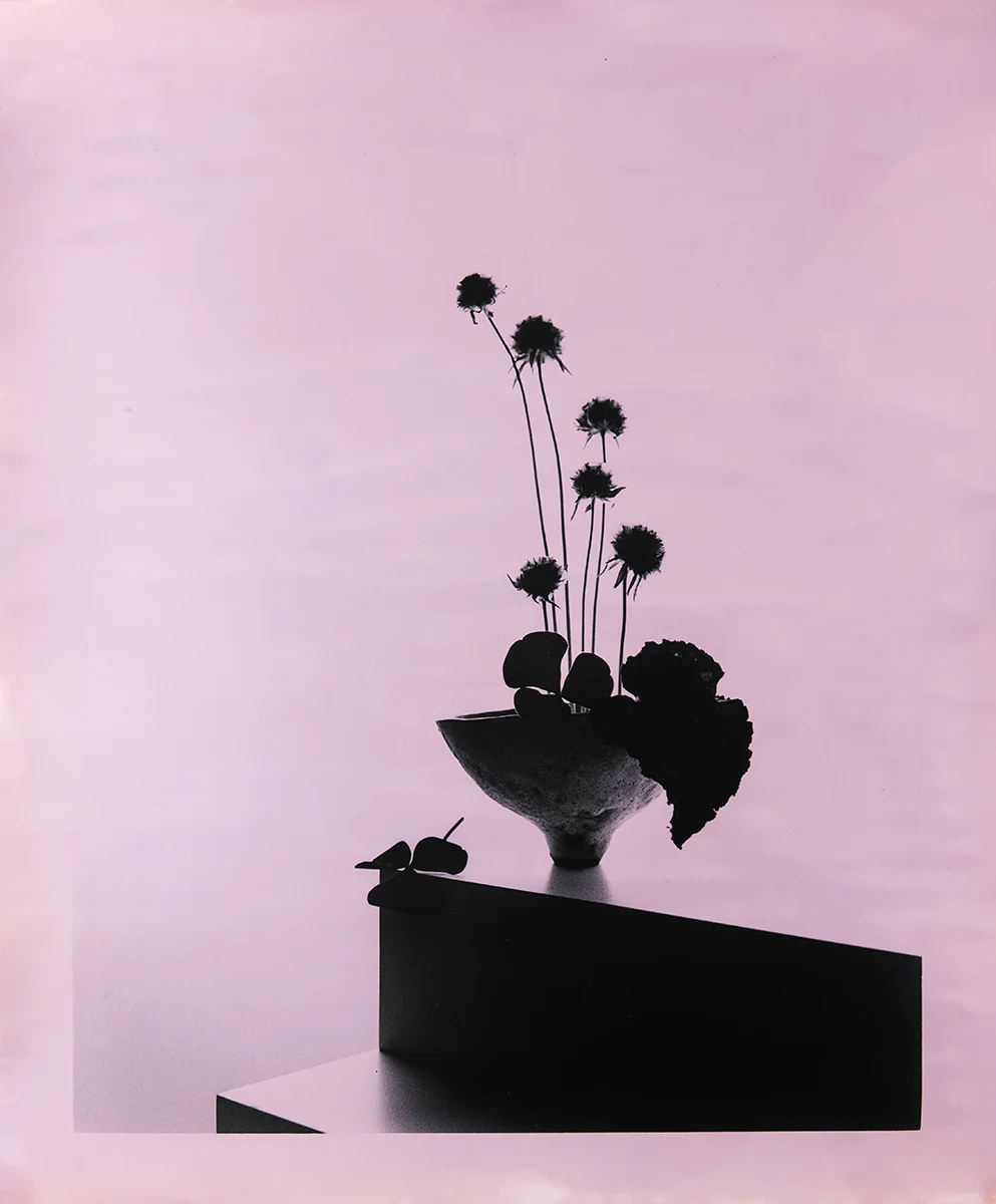 Calamine_9.jpg