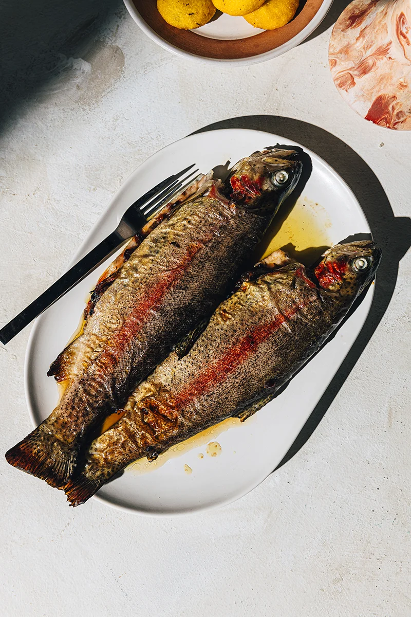 Food photography studio still graphic cookbook trout fish