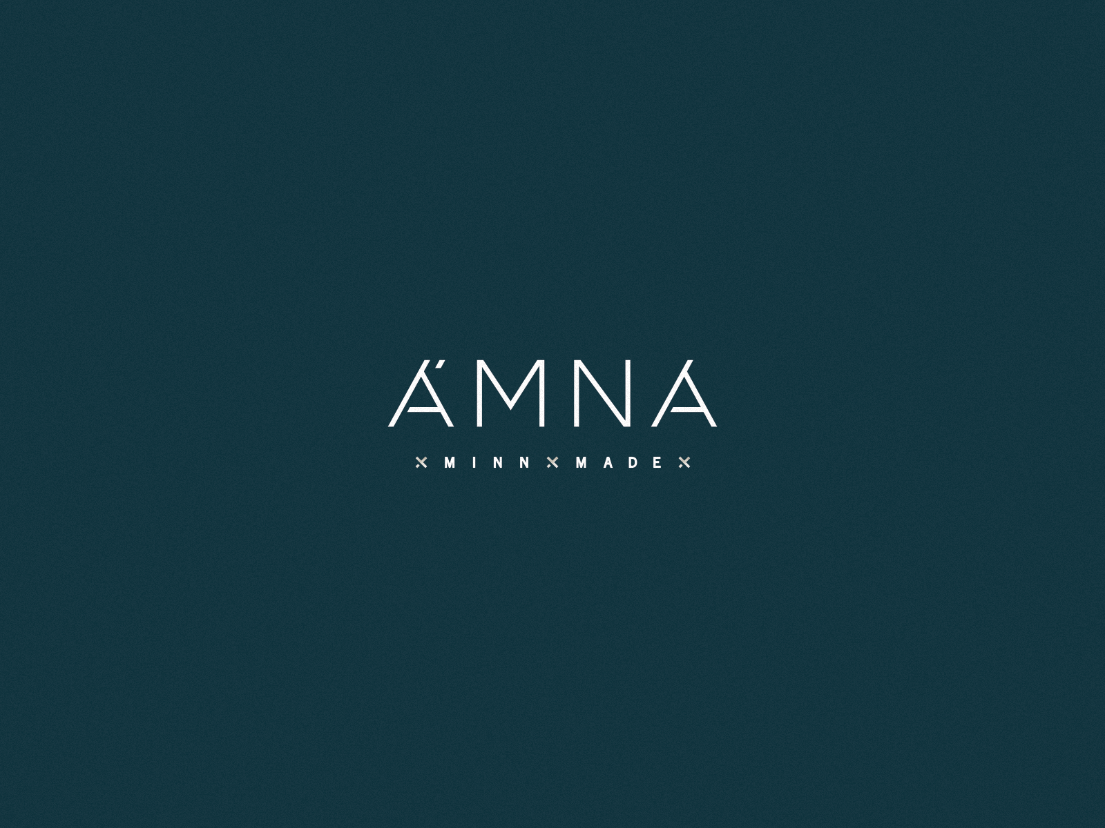 amna-logo.png