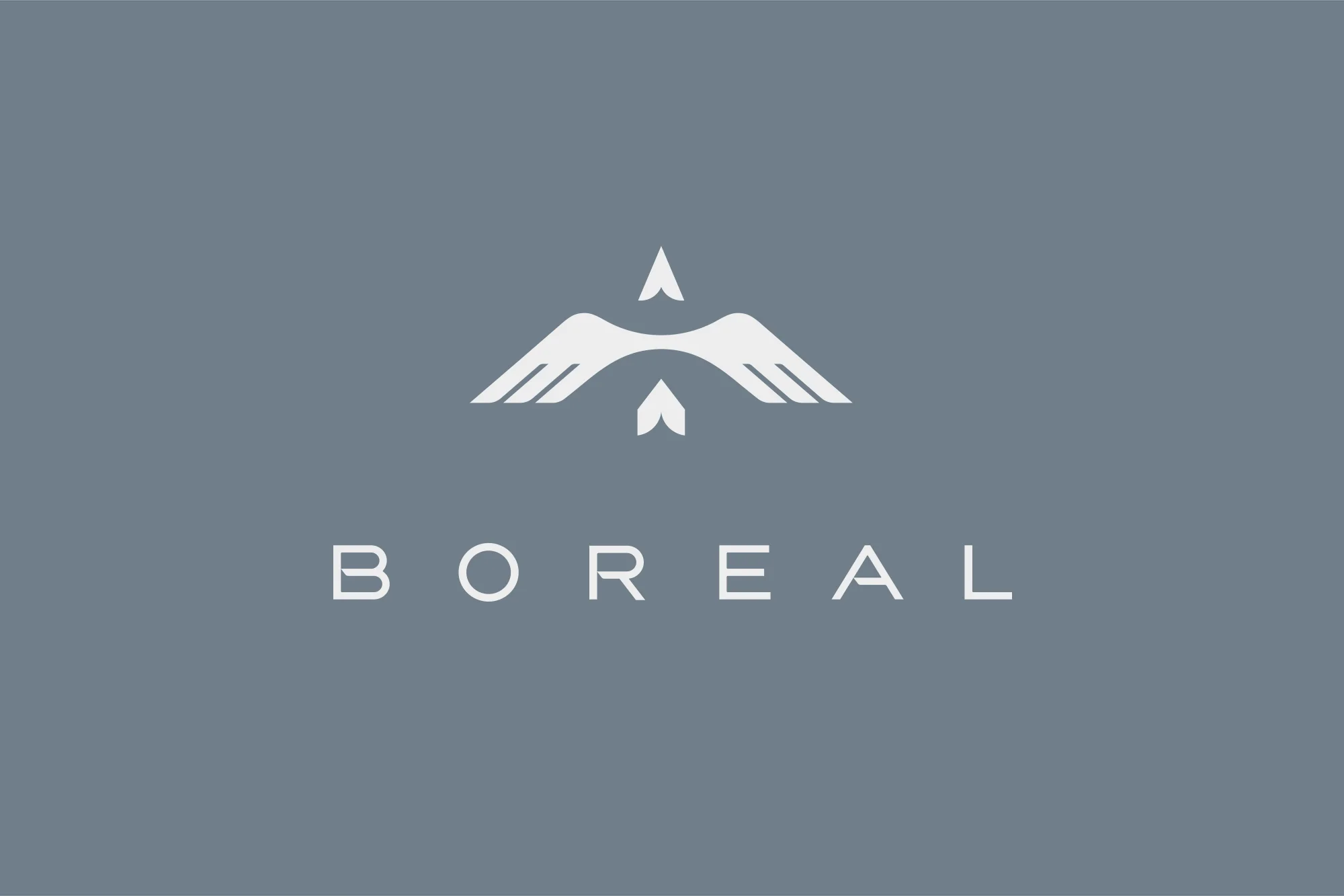 1_boreal_case_logo.jpg