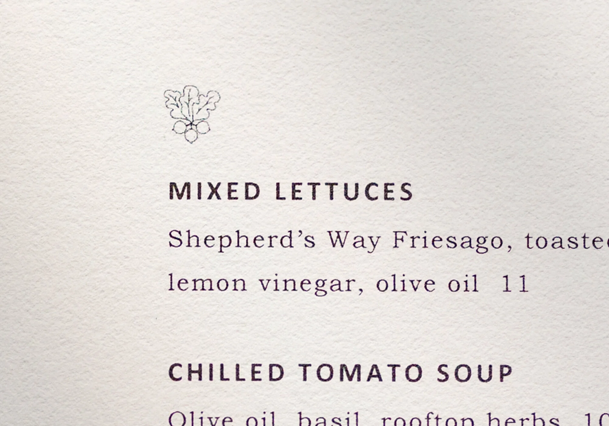 tbf-menu-icons-detail-radish.jpg