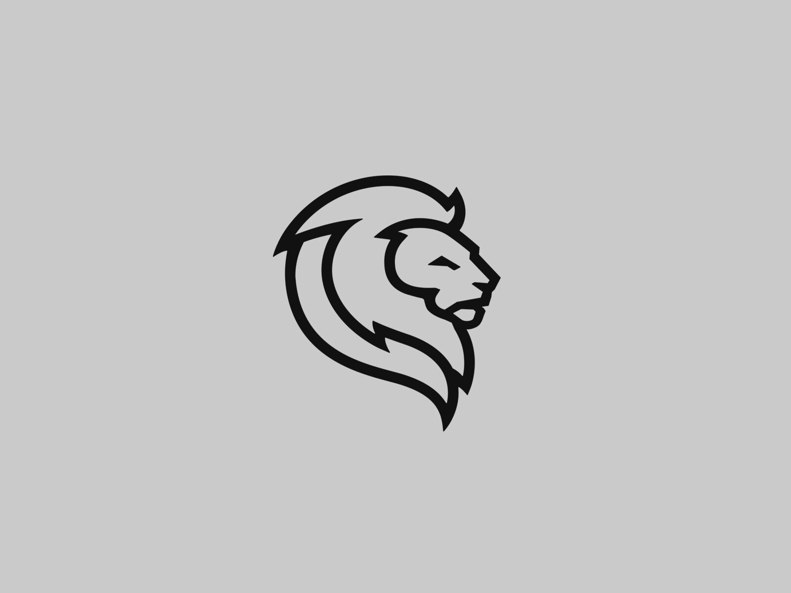 lion3.jpg