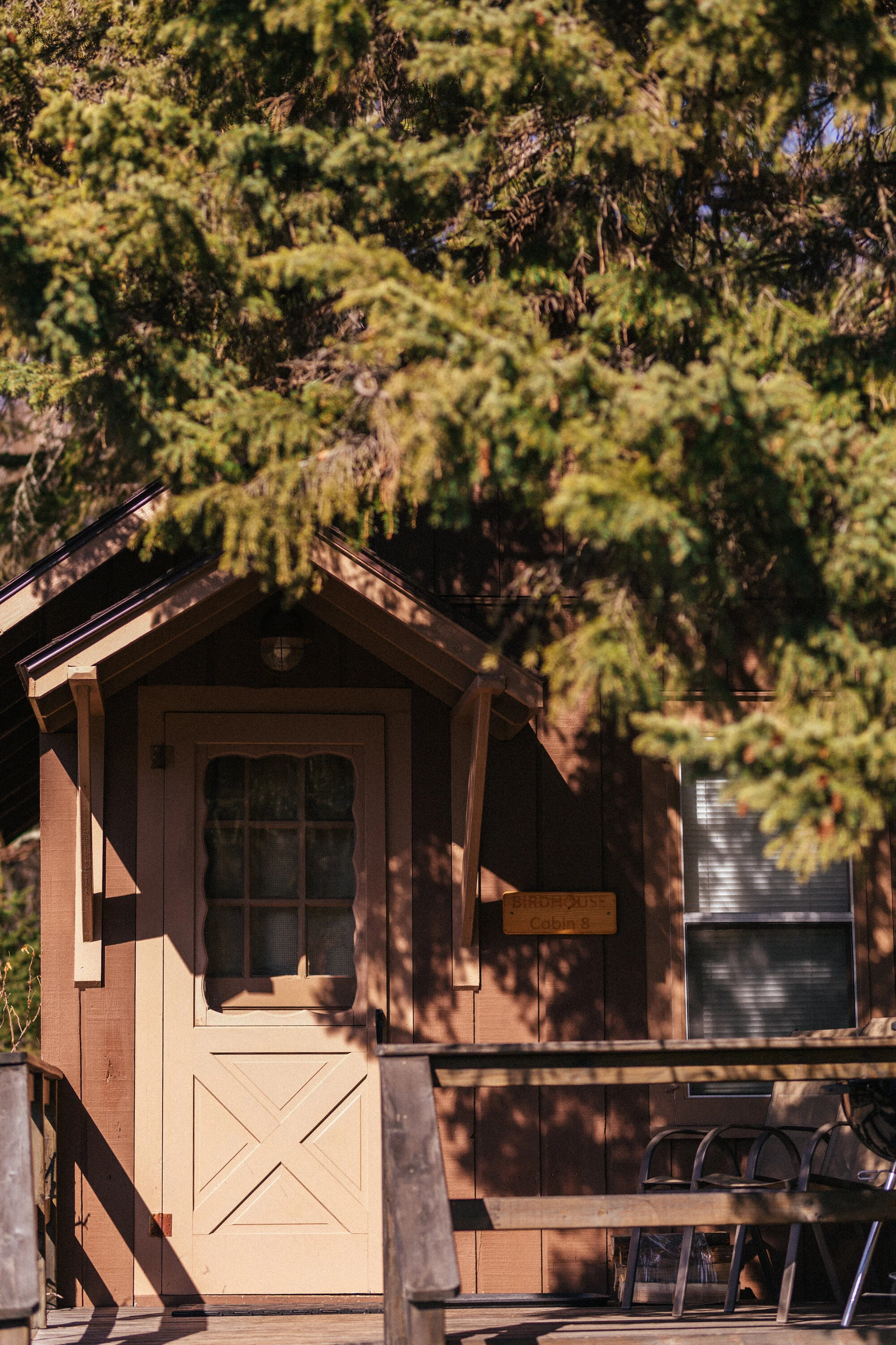 5A8A1379-birdhouse.jpg
