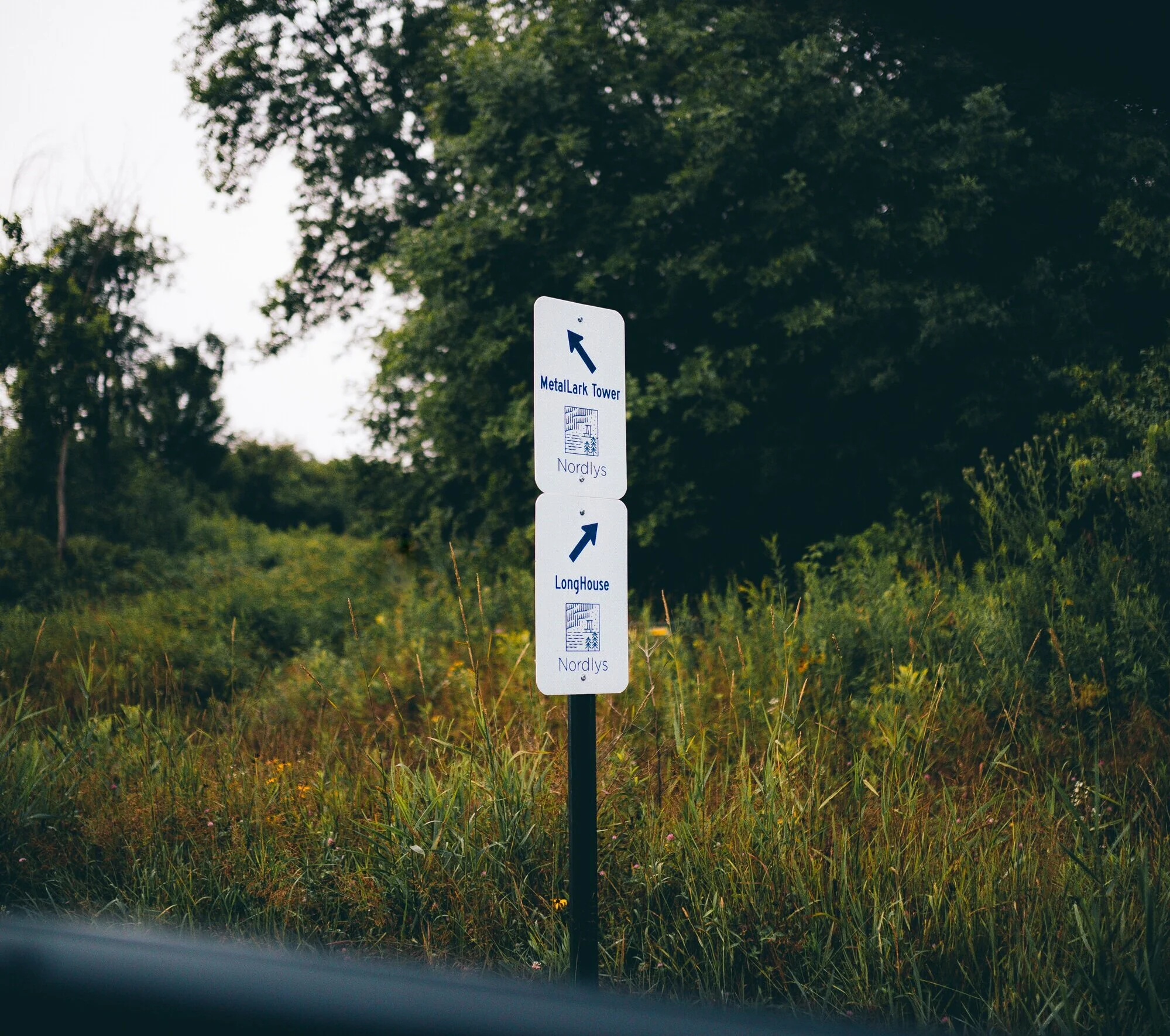 5A8A2923-nordlys-signs.jpg