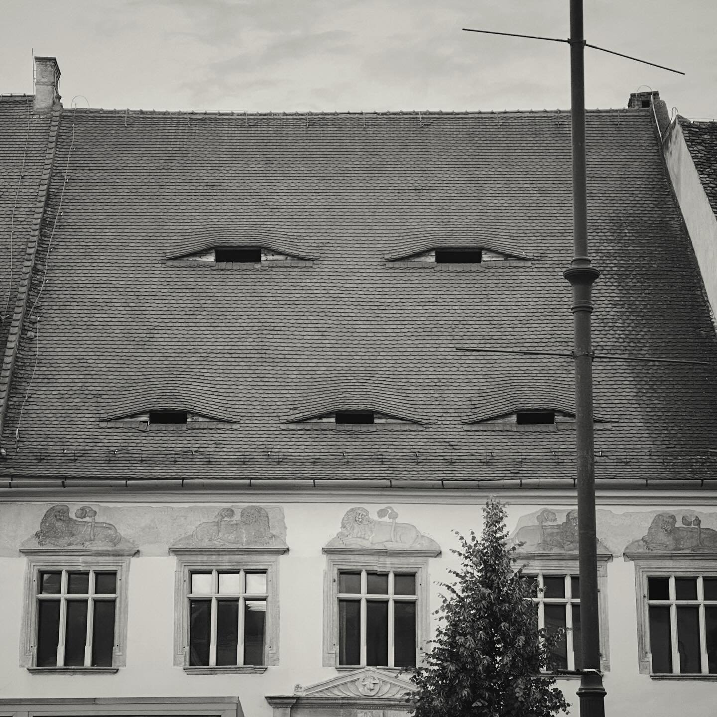 👁👁👁
-
#standwithukraine ✊🇺🇦
Слава Україні!
-
#photography #streetphotography #travelphotography #architecturephotography 
#architecture #romania #transylvania #sibiu