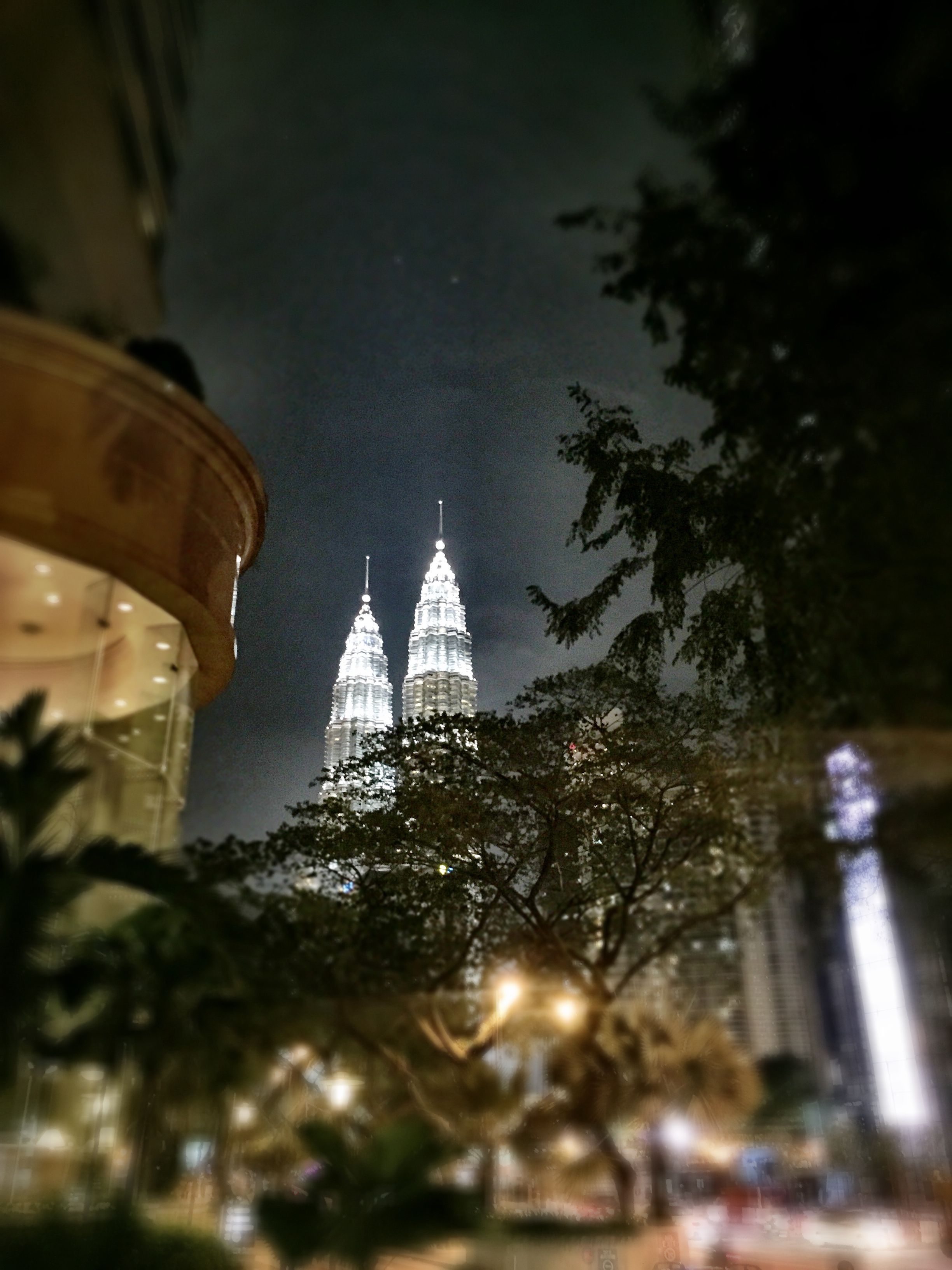 The Twin Towers