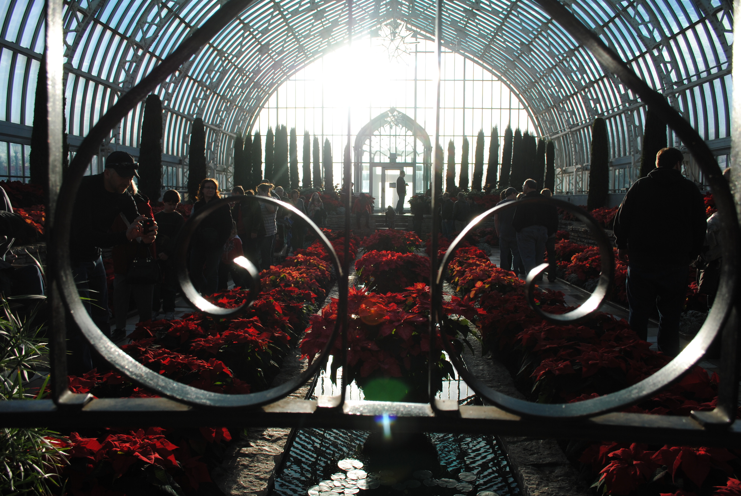 Lazy Sunday at the Como Conservatory in the Sunken Gardens
