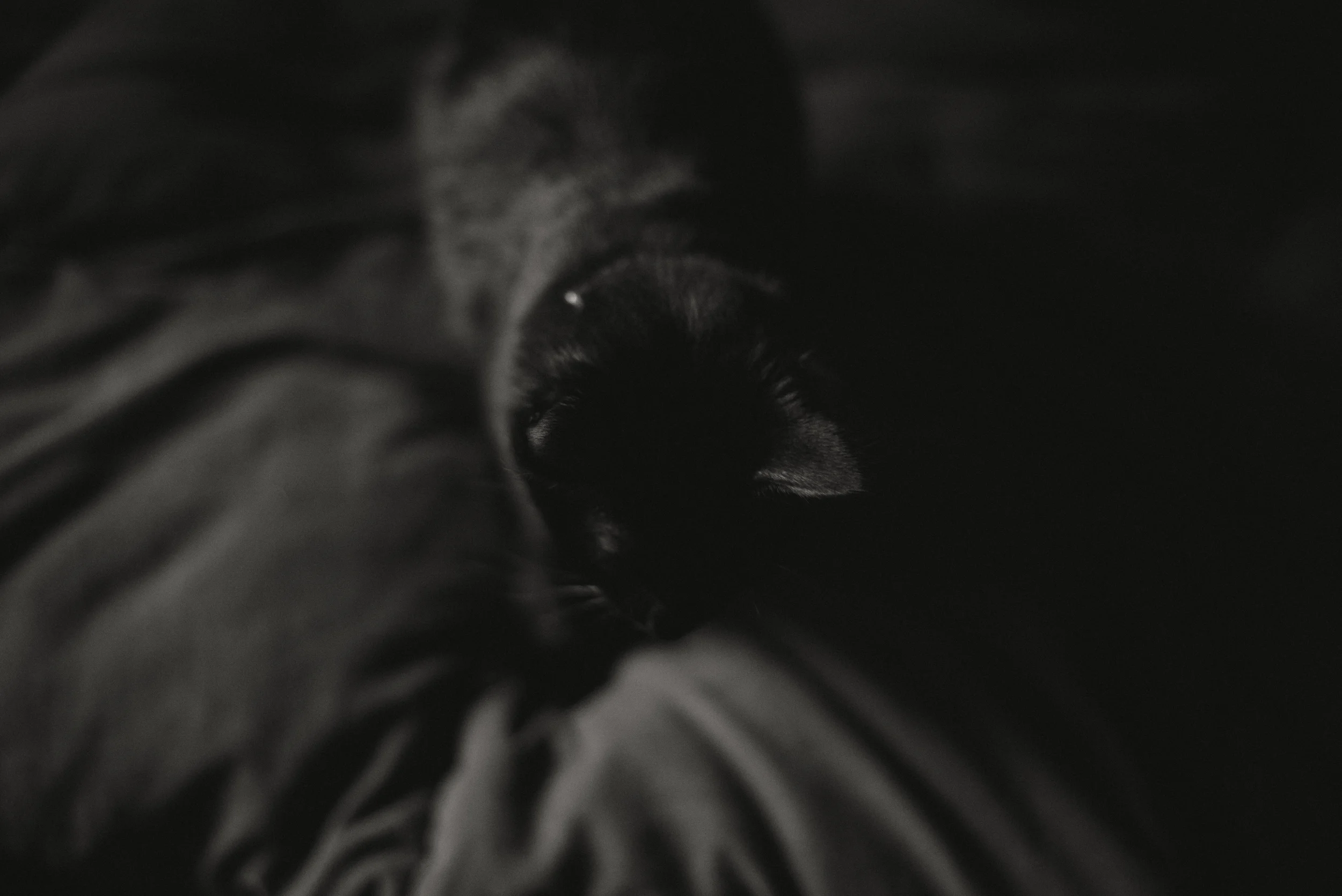 Keep Growing | One Year Into It | Personal