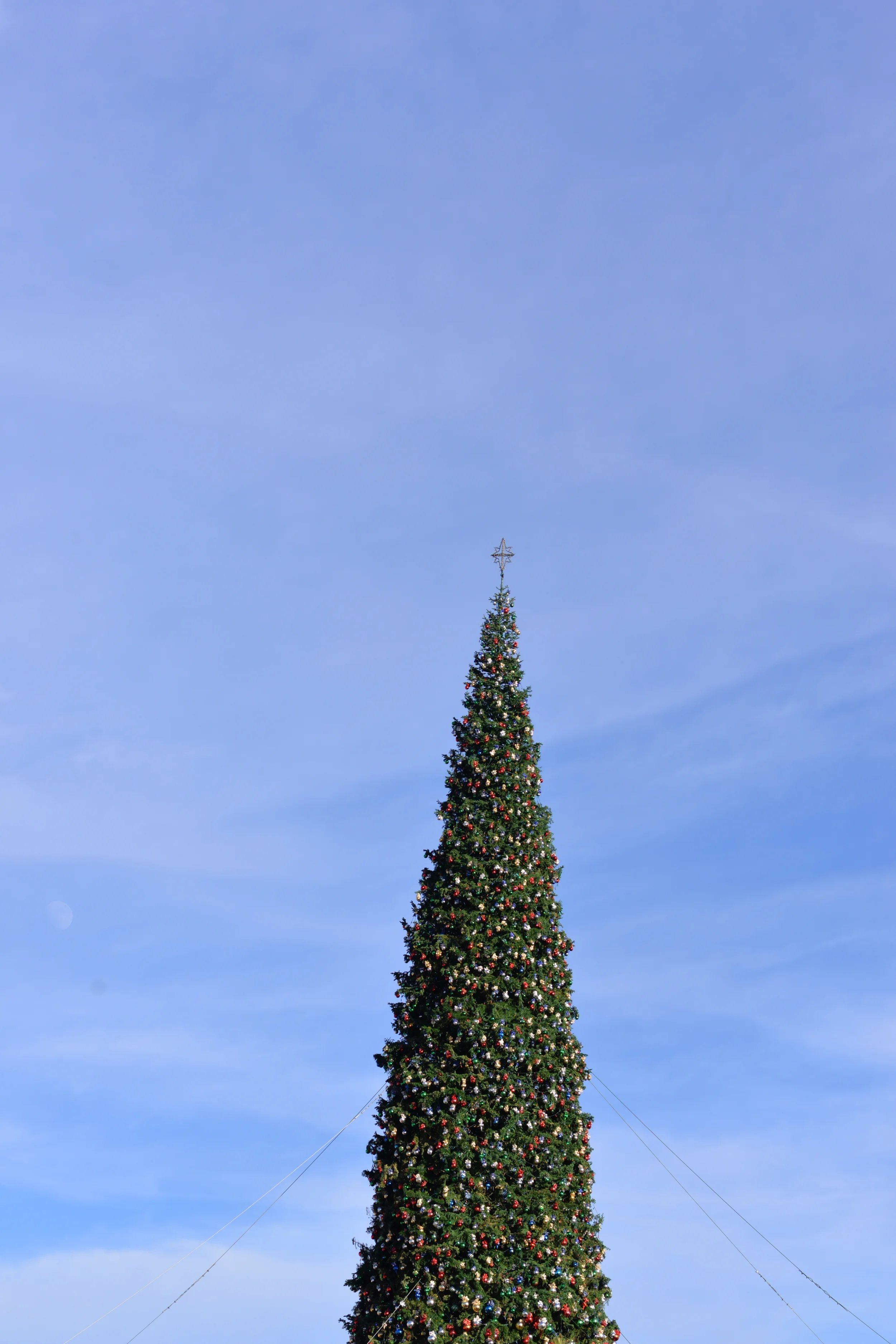 Monday Moments: From MN to AZ | My Christmas 