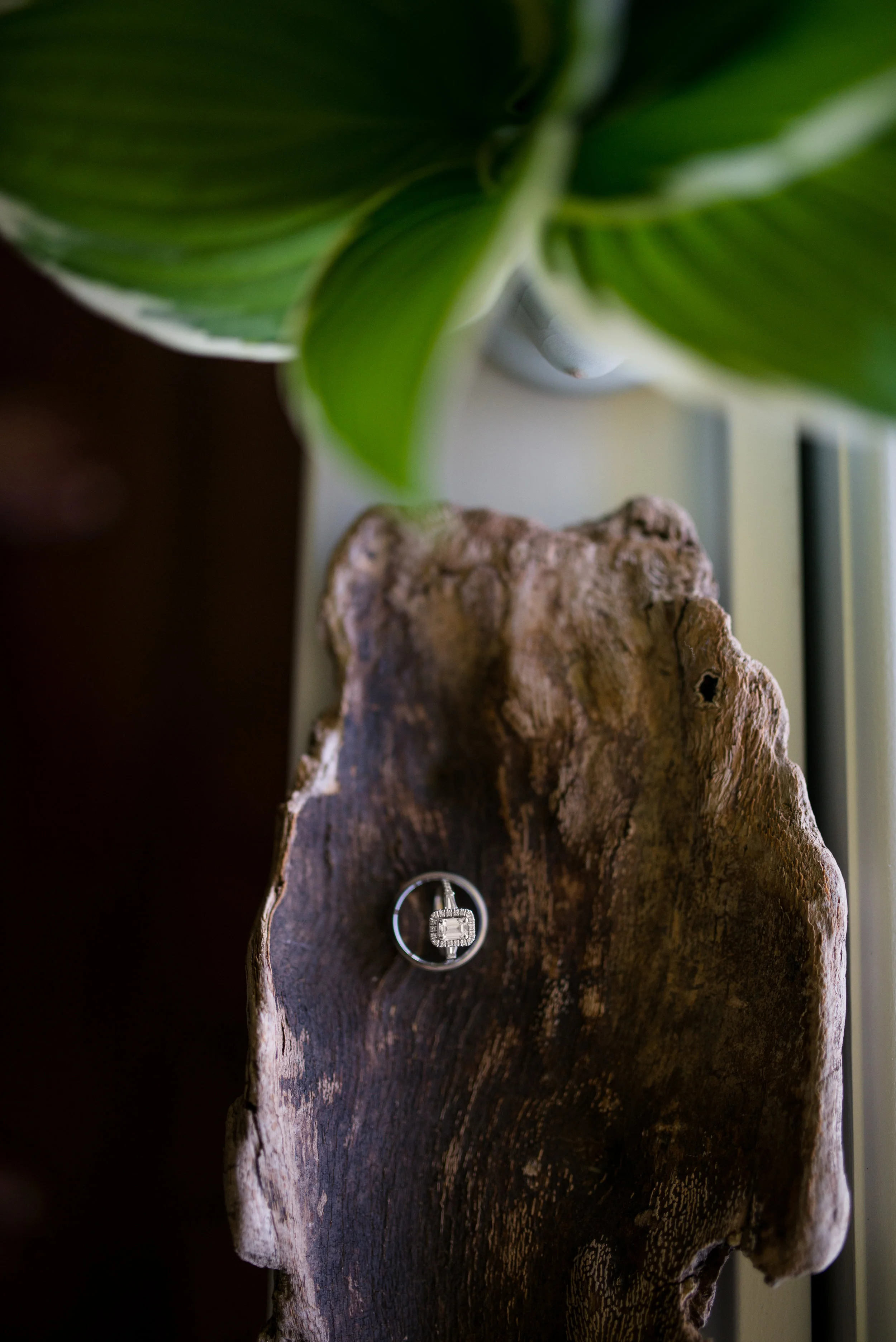 Ring In The New Year With These Wedding Ring Inspirations | For MW Brides 