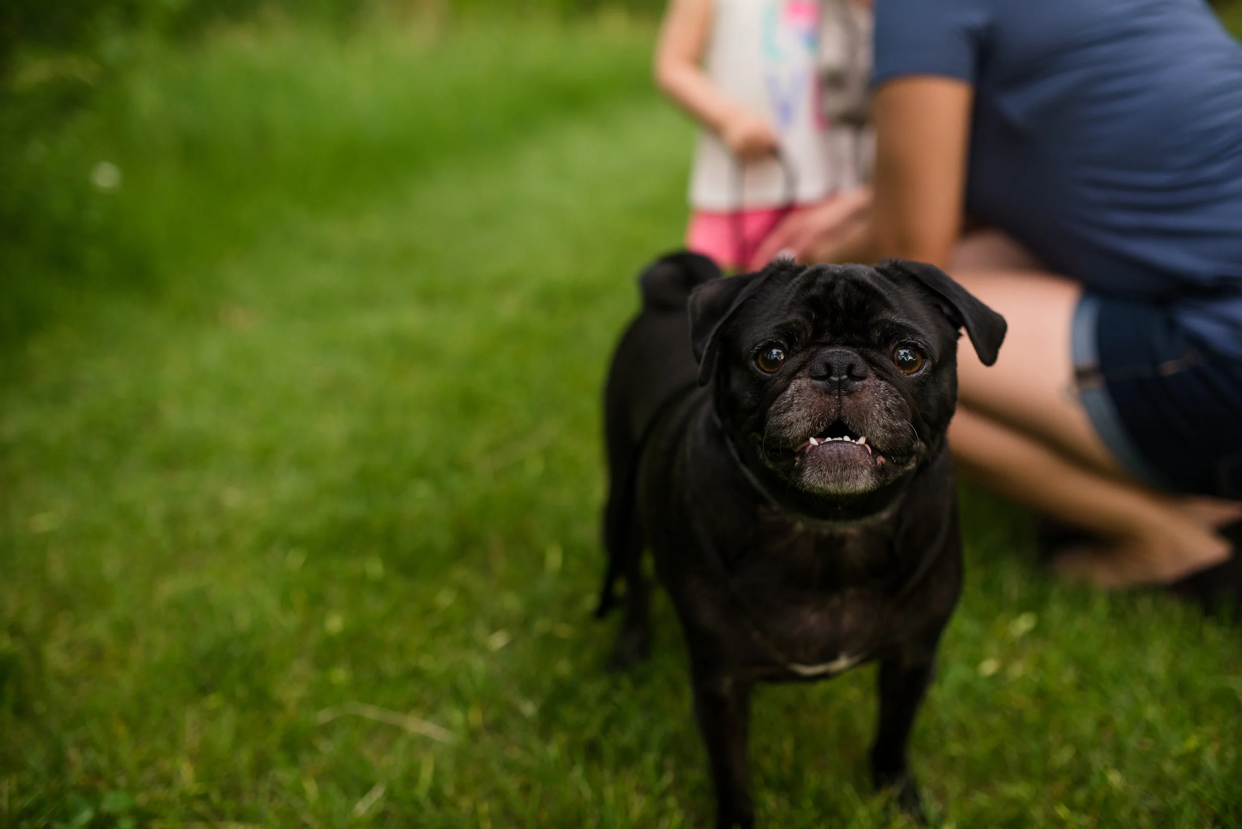 Bringing Your Pet To Your Engagement Session | Minneapolis Wedding Photography | Tips for Brides