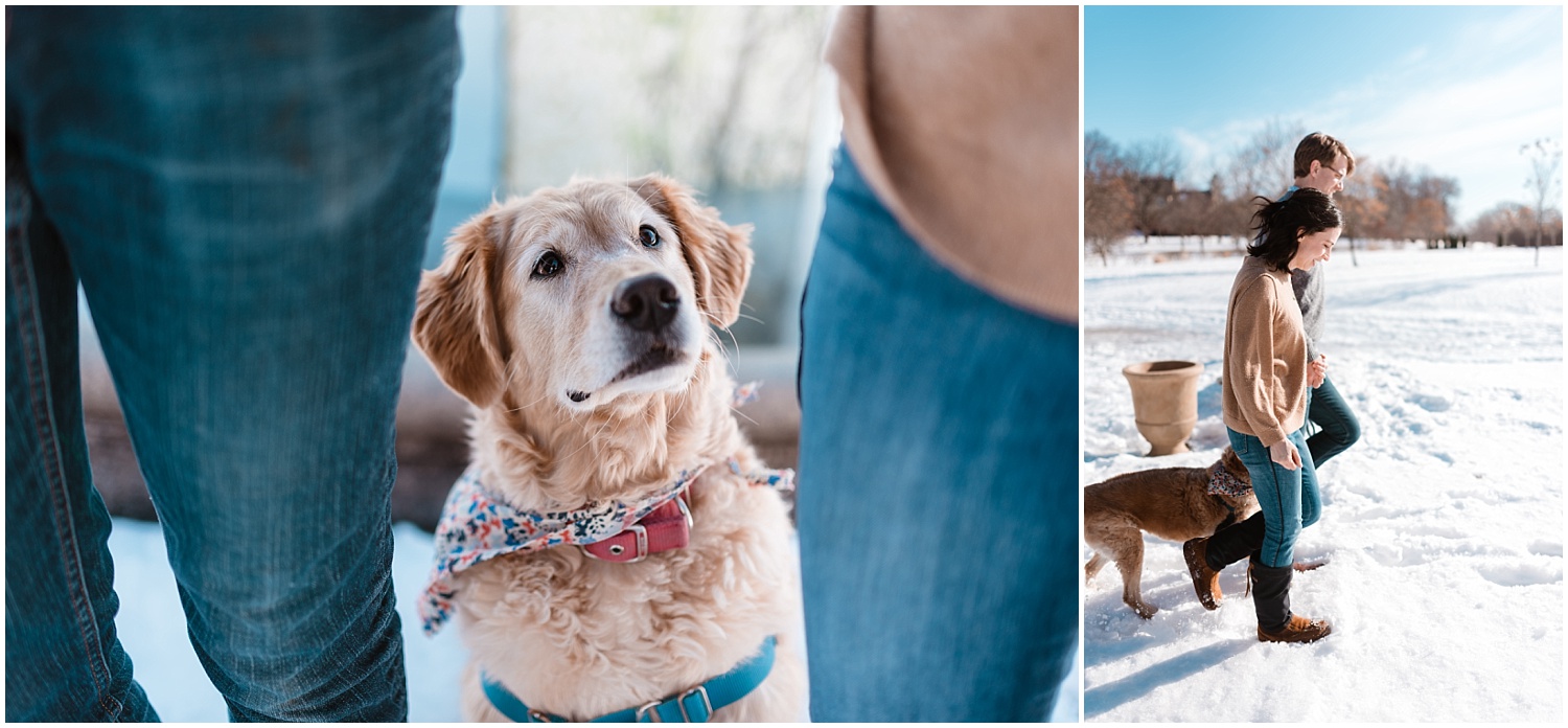  Lakey Harriet Engagement photography  Lakey Harriet Engagement photographer  Minneapolis Engagement Photographer Minneapolis Engagement Photography Lake Harriet Rose Garden Photography  Lake Harriet Rose Garden Engagement Photography  Dog with engag