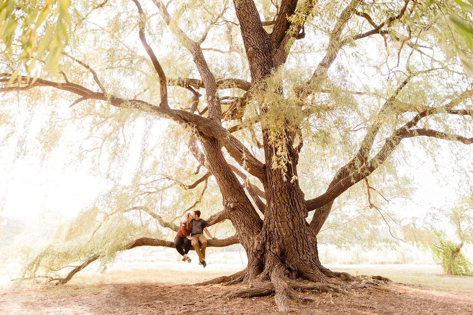 Minnesota Arboretum Engagement Photography | Kate &amp; Chris | Chaska Engagement Photographer