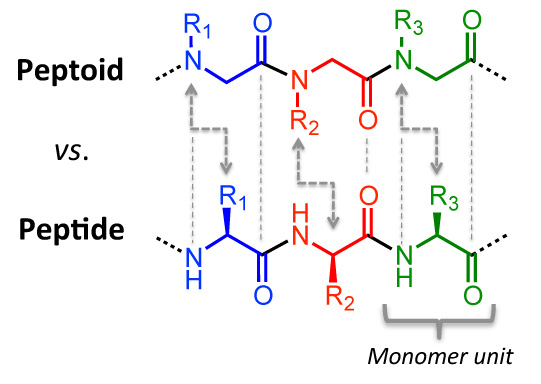 Figure 1. Comparison of peptoid and peptide chemical structures. 