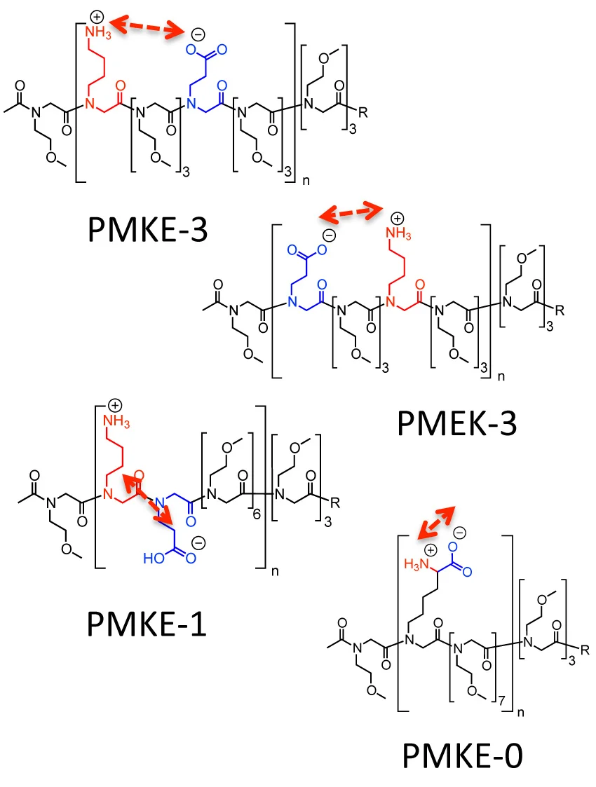 Spatial definition of chemical groups with peptoids