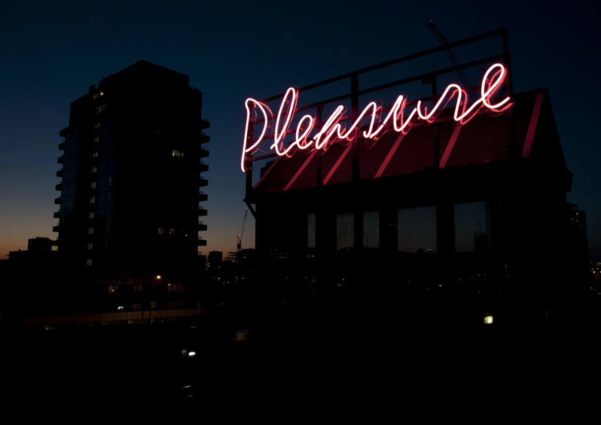 Pleasure Print 2
