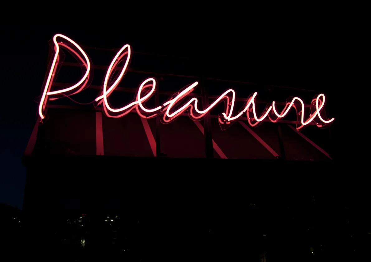 Pleasure Print 3