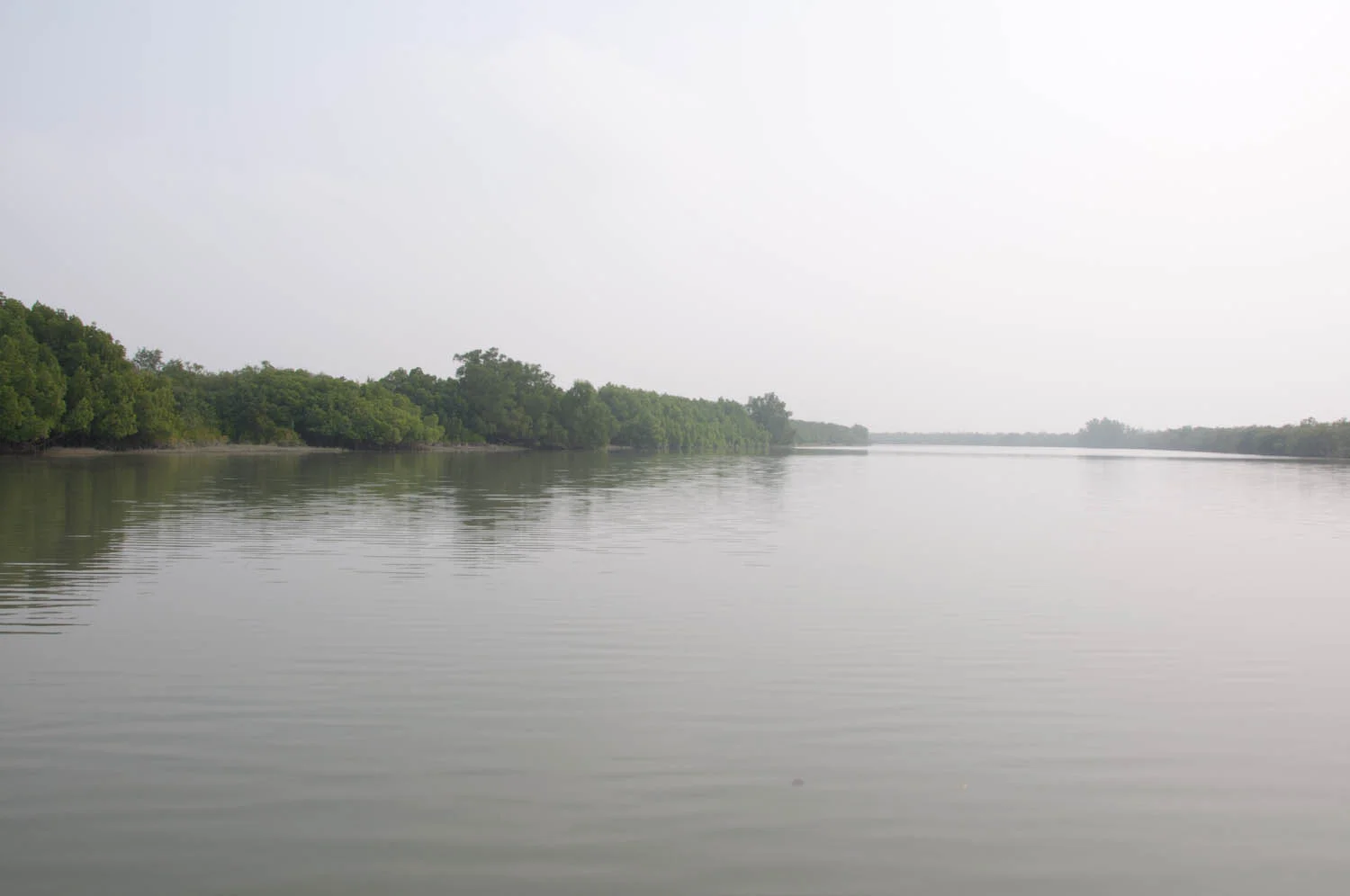 DSC_2816.jpg