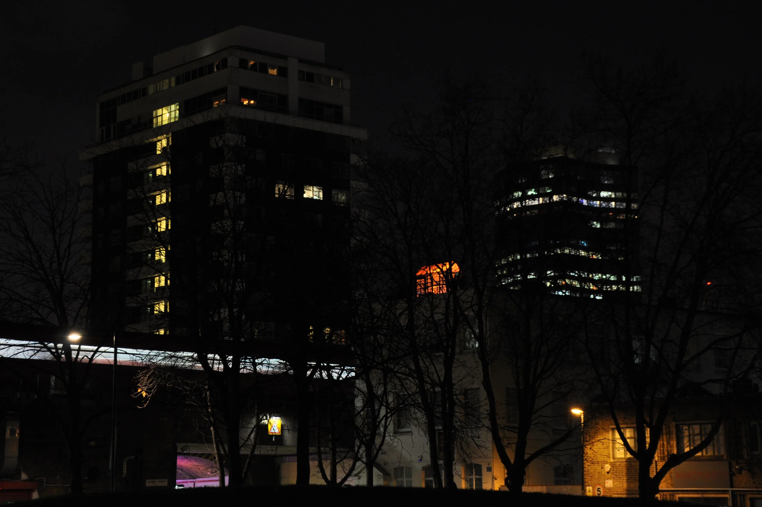 FromGardens_DSC_0828.jpg
