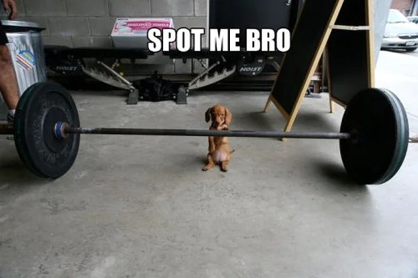 It's 1 RM Bench Press day!