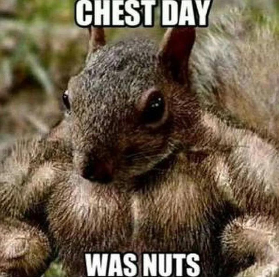chestday1864.jpg