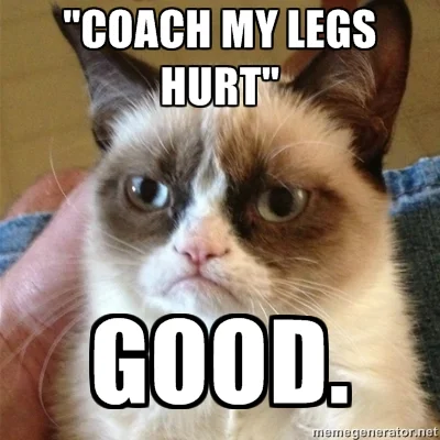 legs1864.jpg