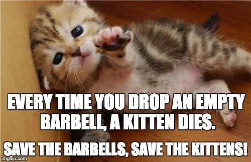 emptybarbell1864.jpg