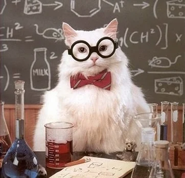 sciencecat1864.jpg
