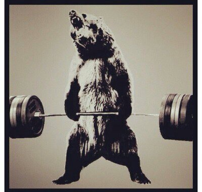 bearcomplex1864.jpg