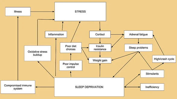 stress1864.jpg